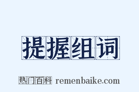 提握组词是什么意思的图片
